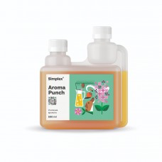 Simplex Aroma Punch 0,5L